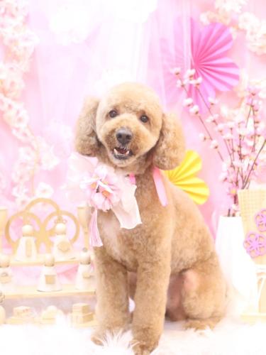 20250325ぶるくん